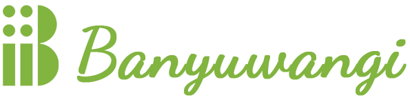 Jasa Website Banyuwangi